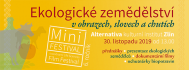 Mini festival - Zlín